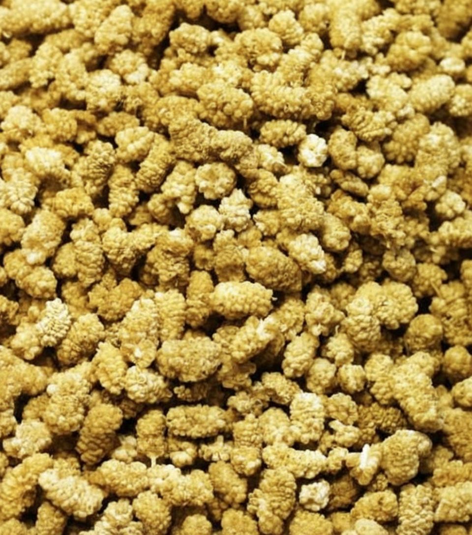 White Dry Berries – Nature's Sweet Treasure from Hunza