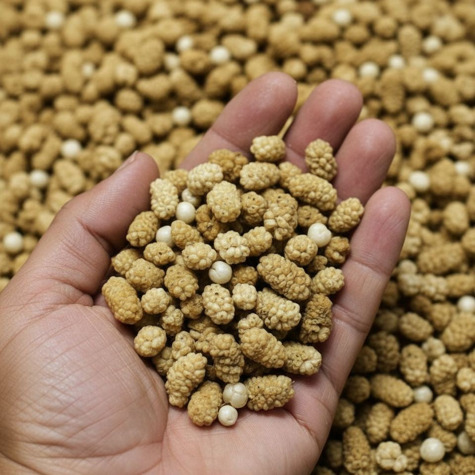 White Dry Berries – Nature's Sweet Treasure from Hunza